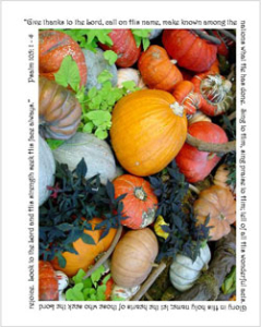 Senior's Resource Kit - Fall 2008