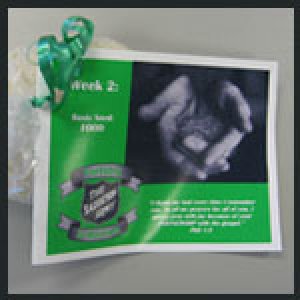 Partners In Mission Weekly Challenges