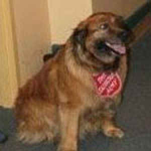 Community Care Paws to Help